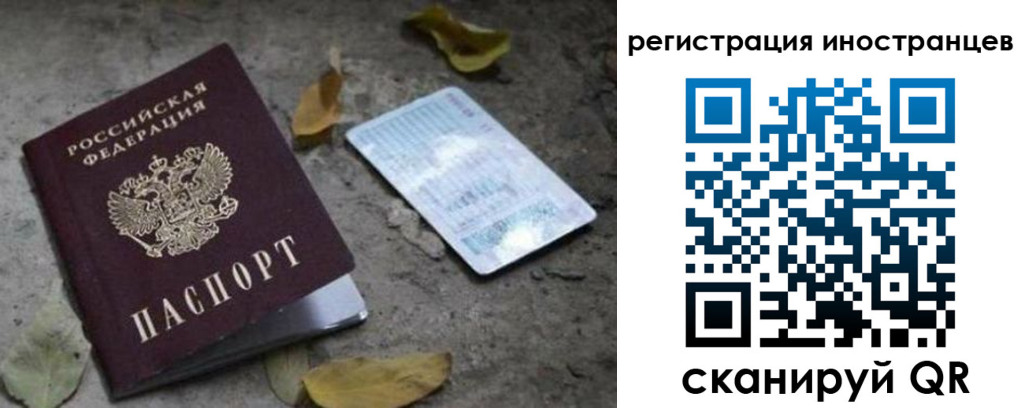 прописка законно в Талице